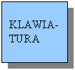 Pole tekstowe: KLAWIA-TURA
