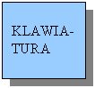 Pole tekstowe: KLAWIA-TURA